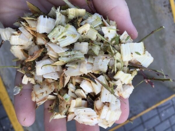 Gartenhäcksler Lumag RAMBO HC15E – Bild 8