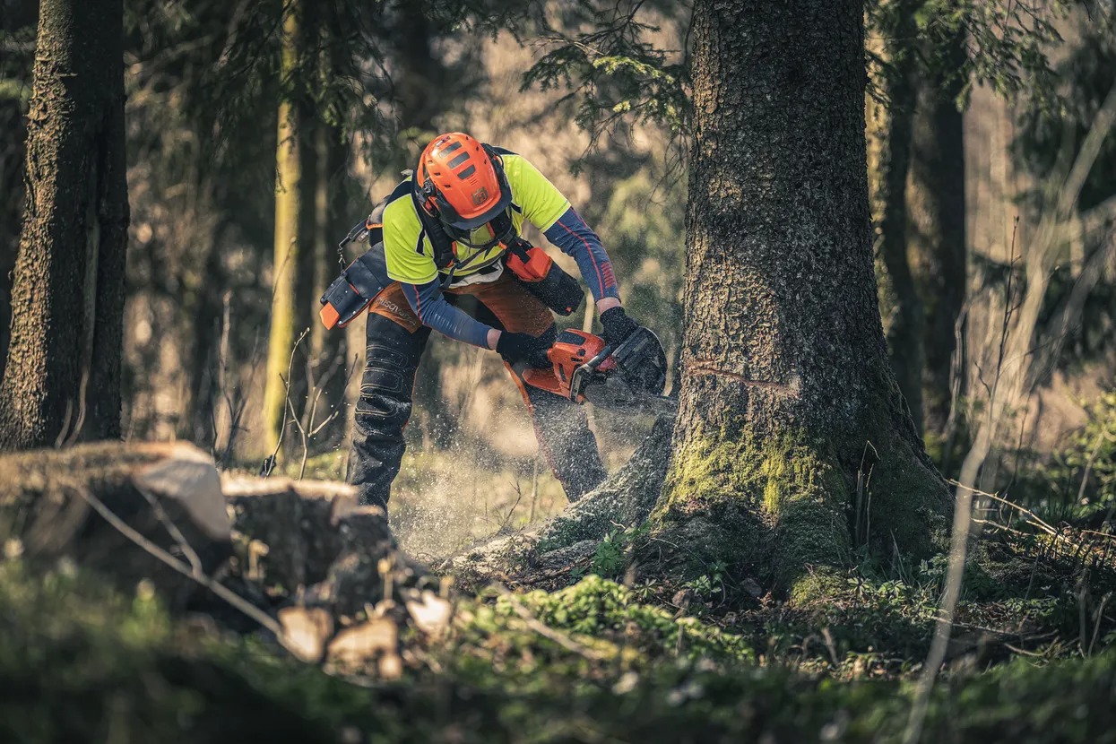 Husqvarna Motorsäge 560 XP - Leistungsstark und innovativ für Profis