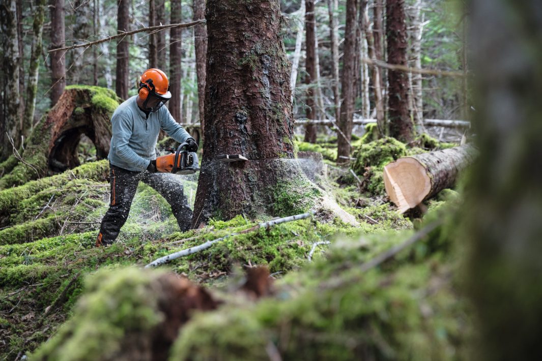 Motorsäge Stihl MS 462 C-M 