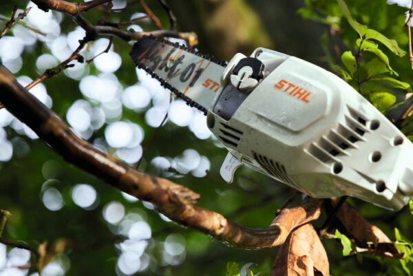 Hochentaster Stihl HTA 86 – Bild 3